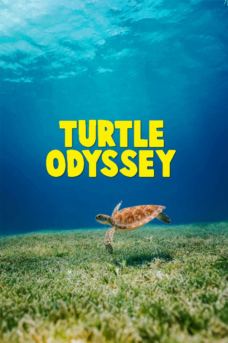 affiche du film Turtle Odyssey