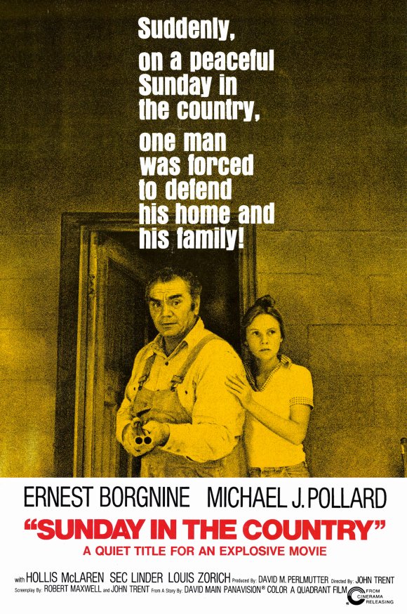 affiche du film Sunday in the Country