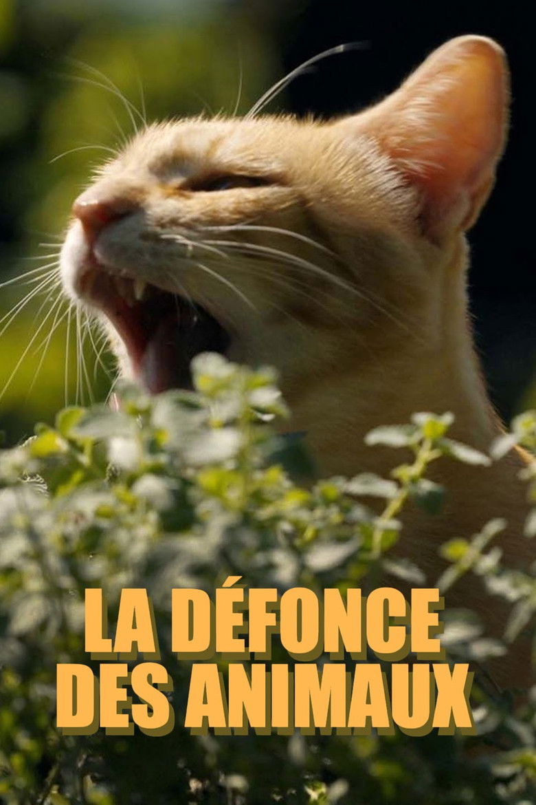 affiche du film La défonce des animaux