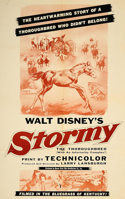 affiche du film Ouragan, le Pur-Sang