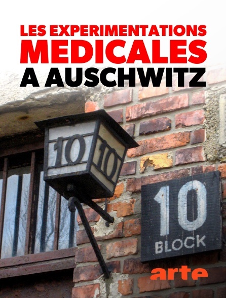 affiche du film Les expérimentations médicales à Auschwitz : Clauberg et les femmes du bloc 10