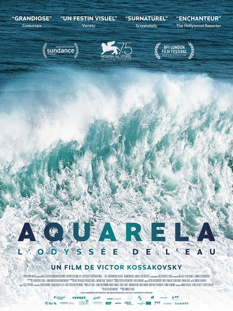 affiche du film Aquarela : L'Odyssée de l'eau
