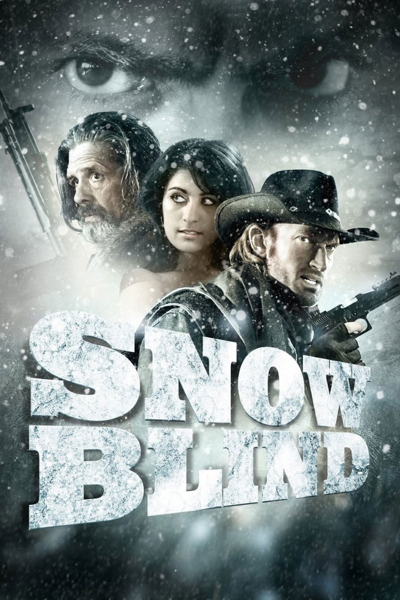 affiche du film Snowblind