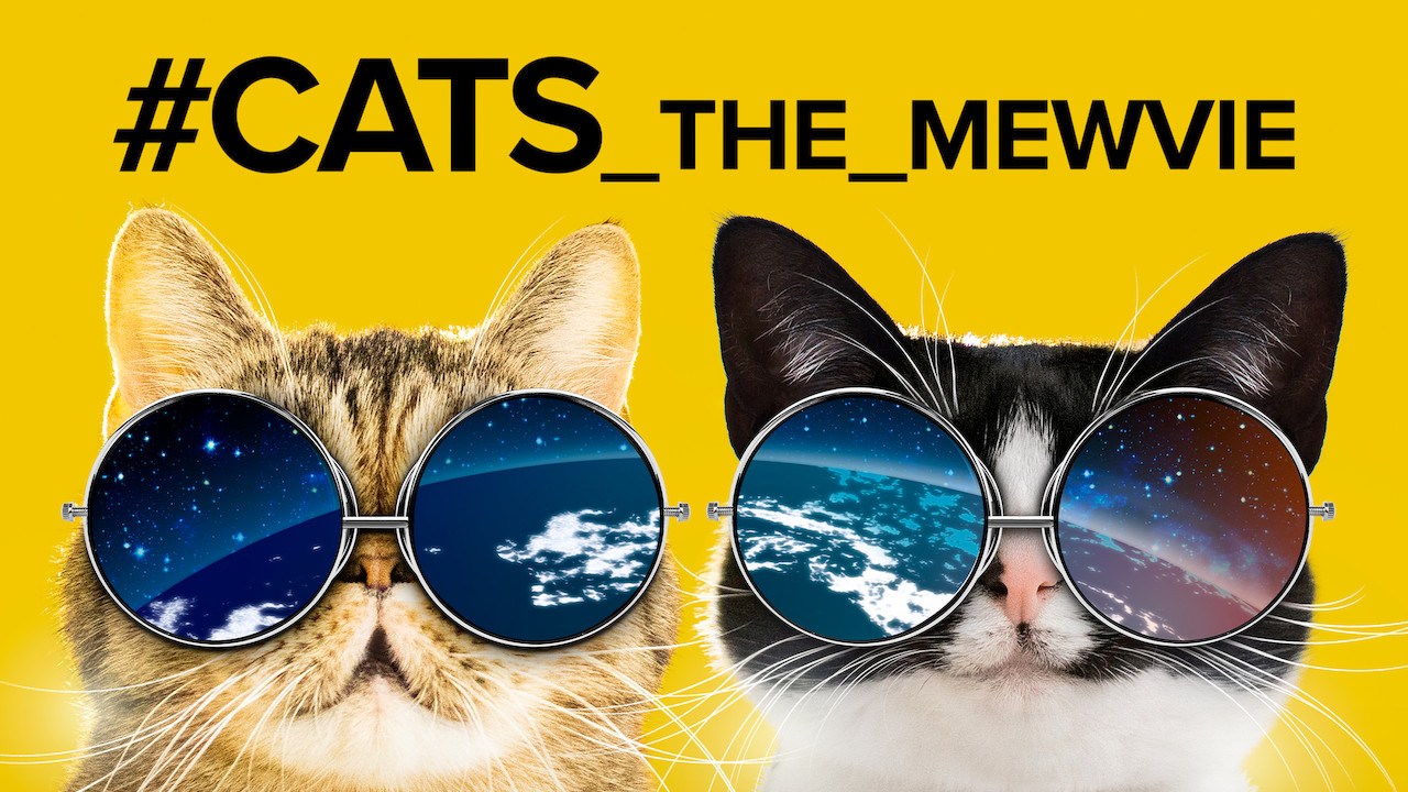 affiche du film #Chats : les rois du net