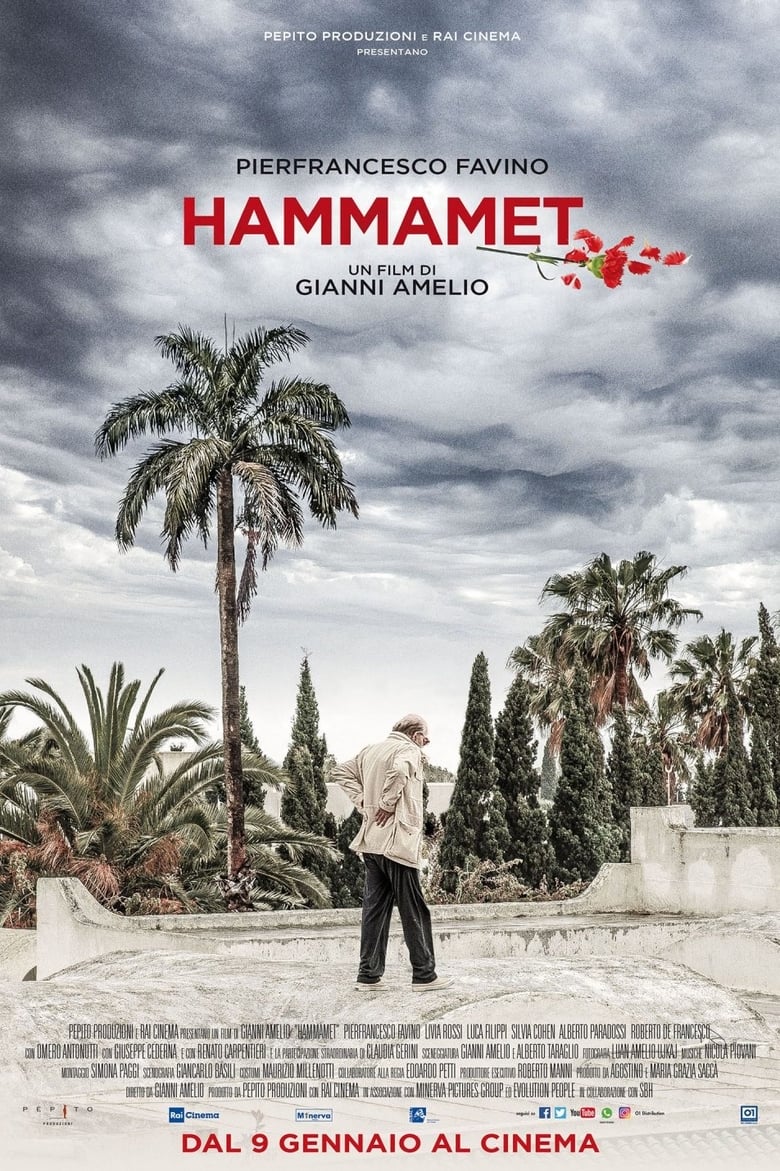 affiche du film Hammamet