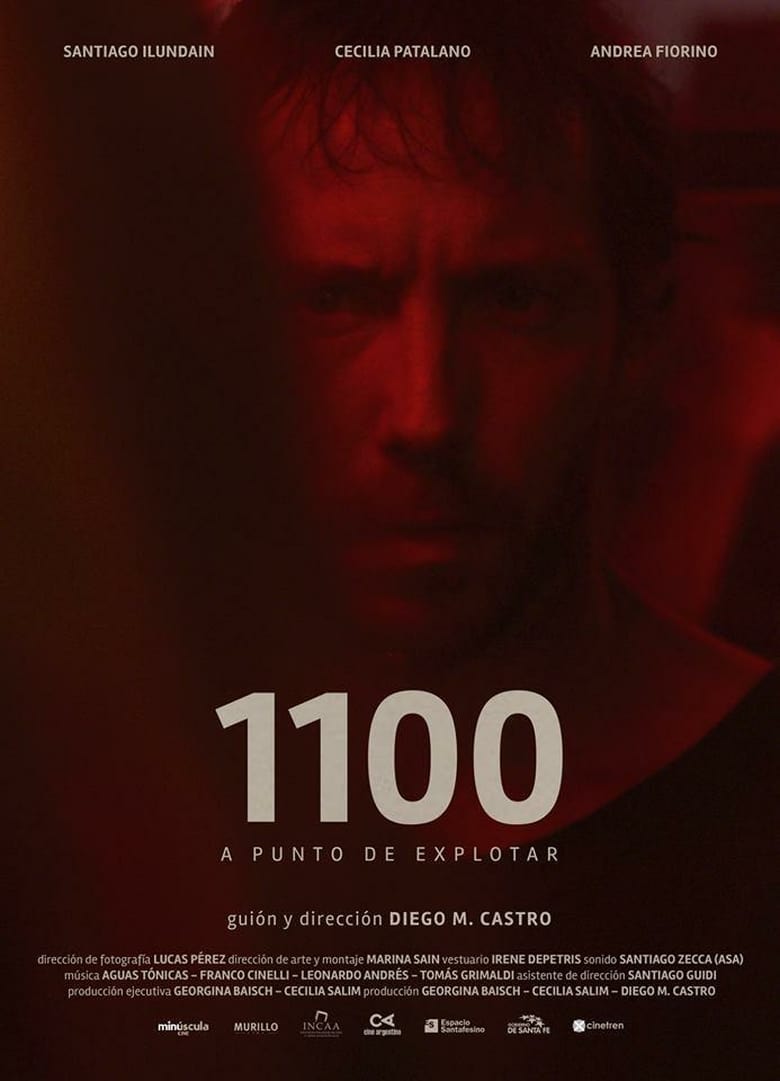 affiche du film 1100