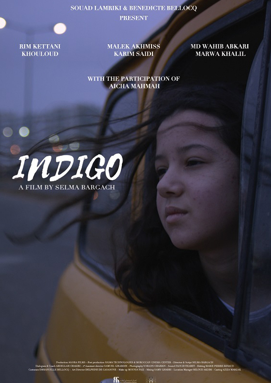 affiche du film Indigo
