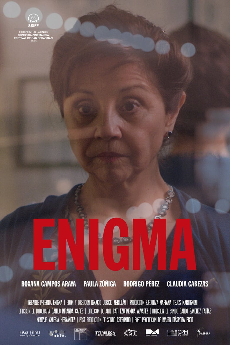 affiche du film Enigma