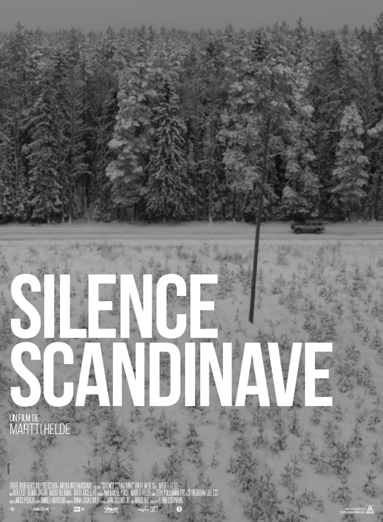 affiche du film Silence scandinave