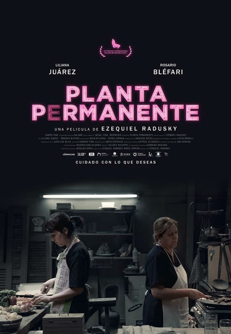 affiche du film Planta permanente