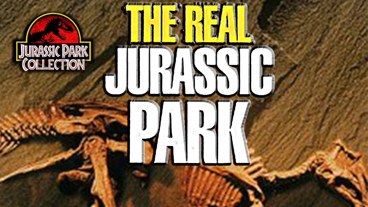 affiche du film The Real Jurassic Park