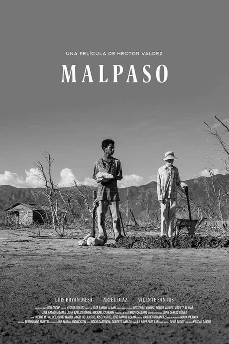 affiche du film Malpaso