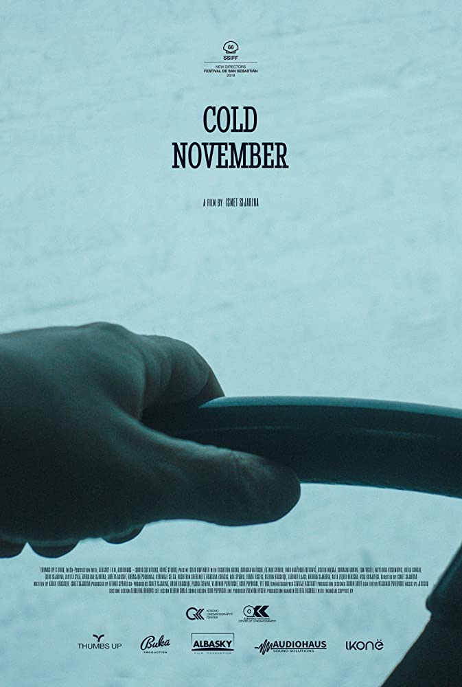 affiche du film Cold November