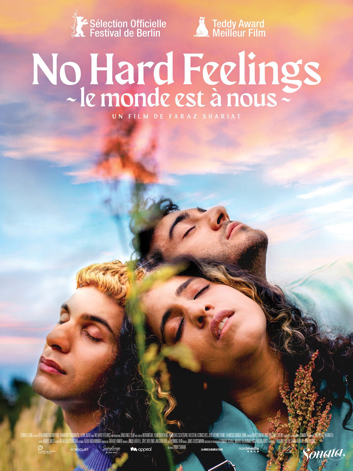 affiche du film No Hard Feelings - Le monde est à nous