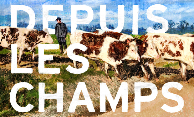 affiche du film Depuis les champs