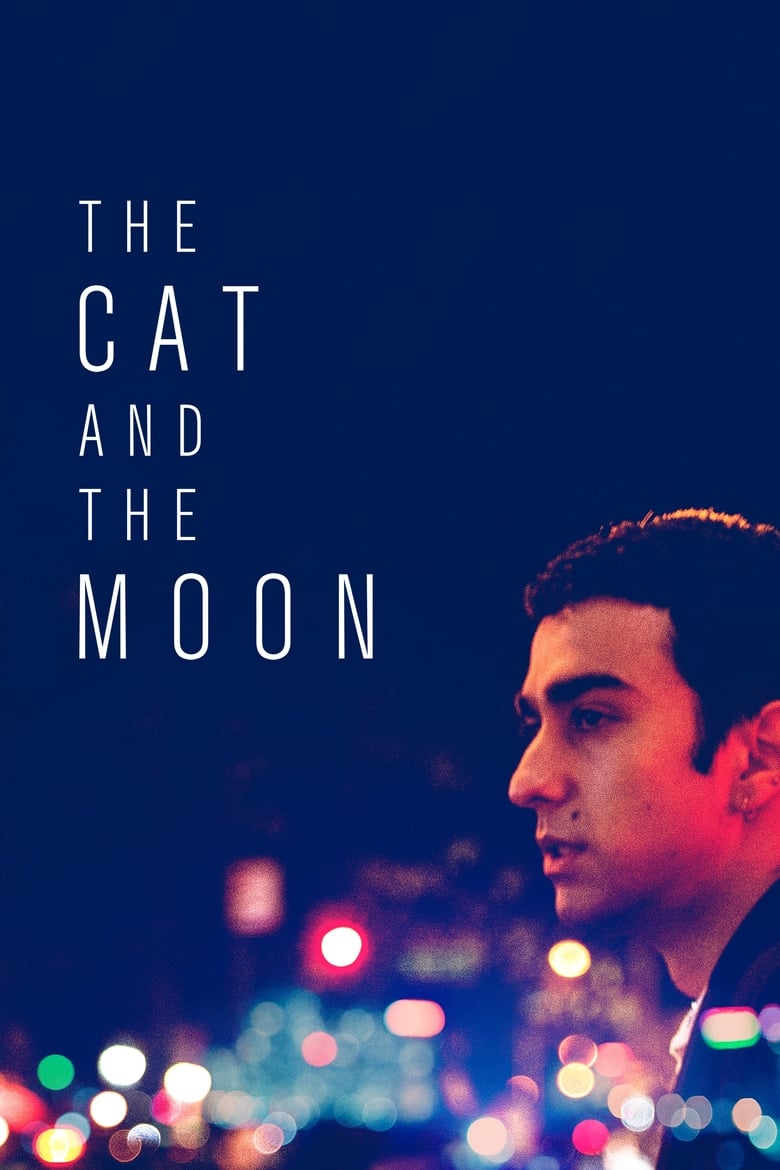 affiche du film The Cat and the Moon