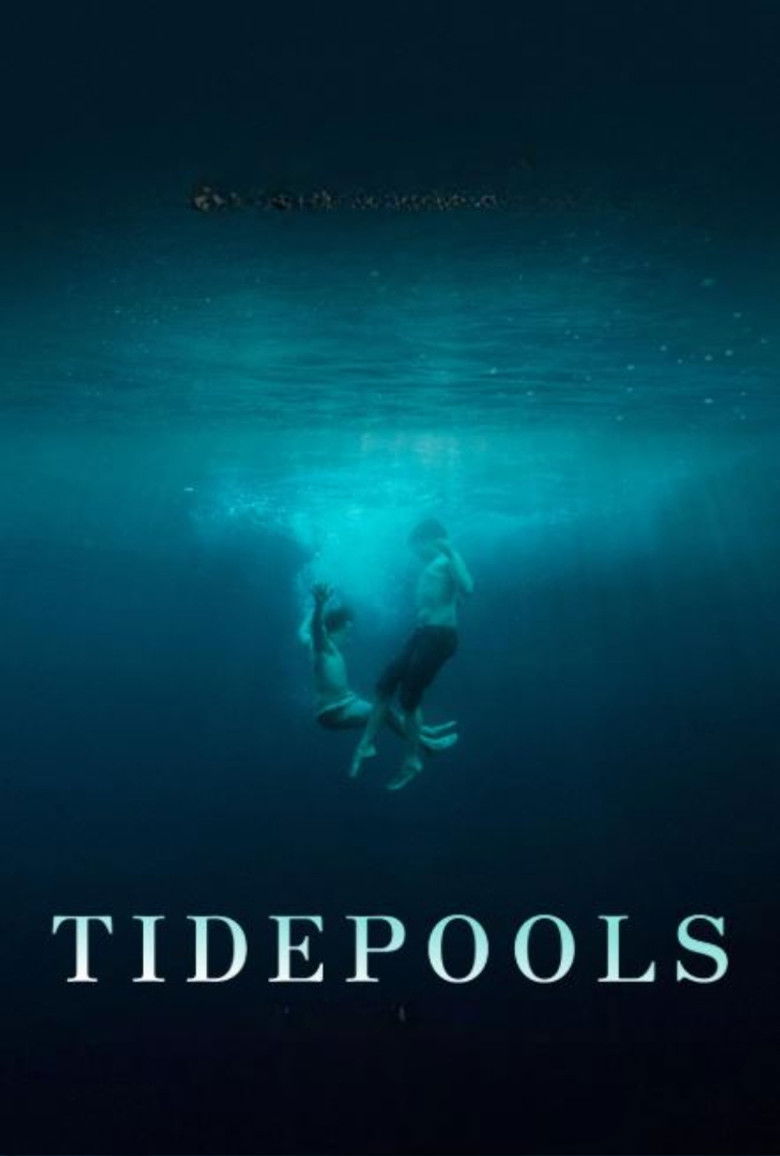 affiche du film Tidepools