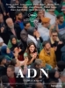 ADN