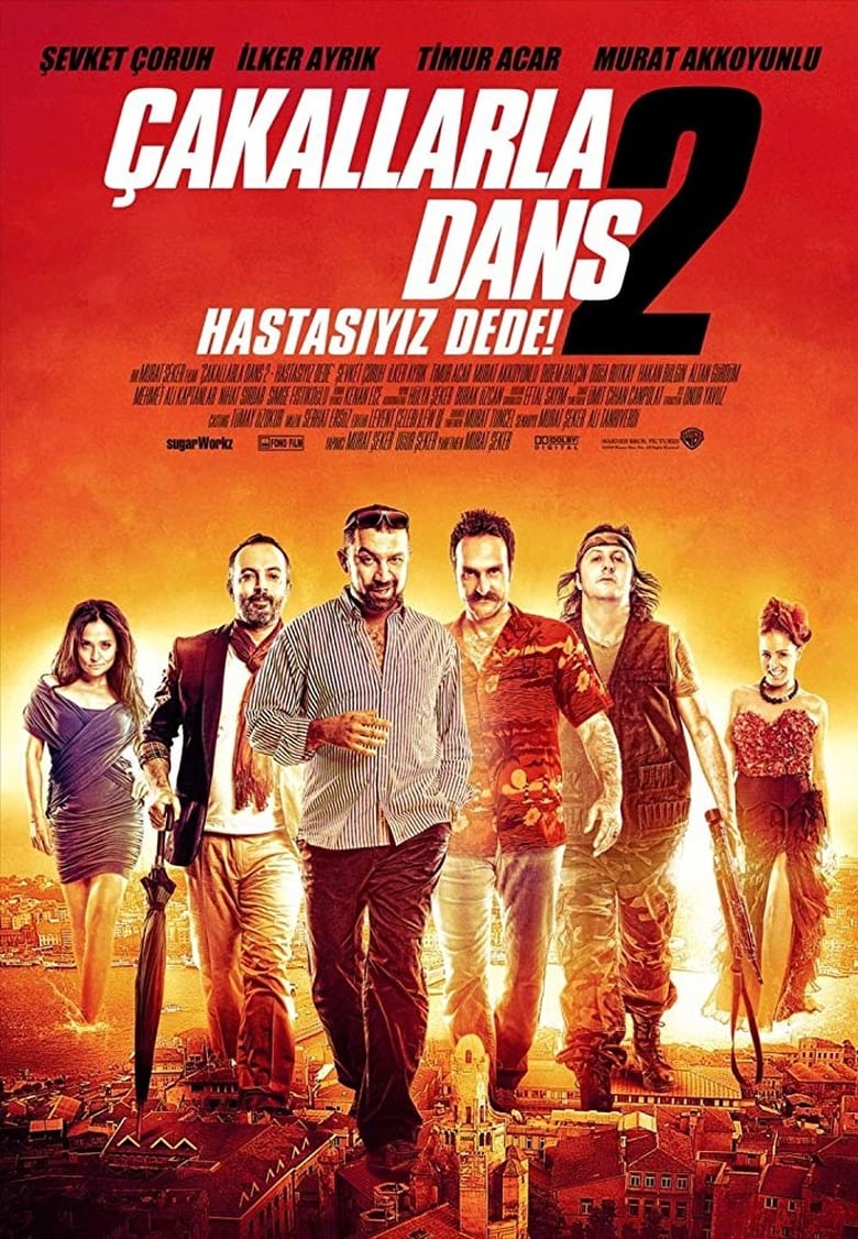 affiche du film Çakallarla Dans 2 : Hastasıyız Dede