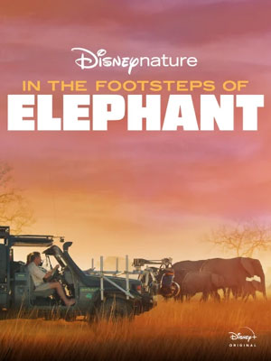 affiche du film Sur la route des éléphants