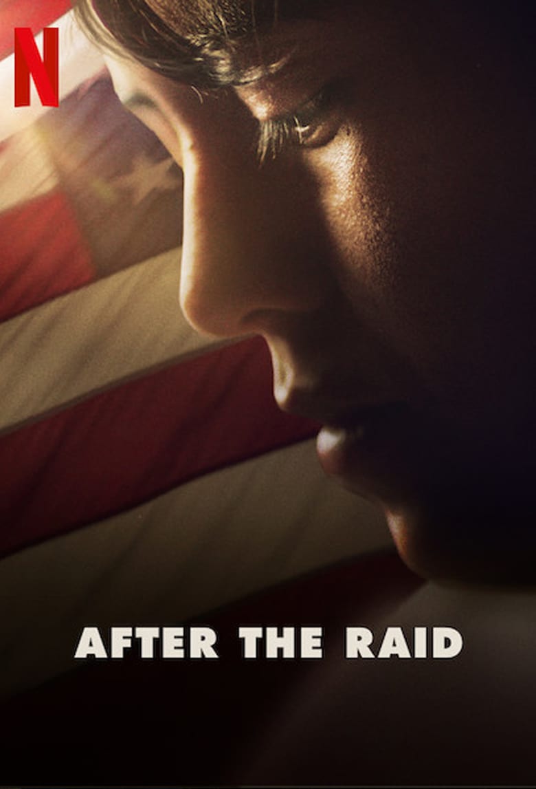affiche du film Après le raid