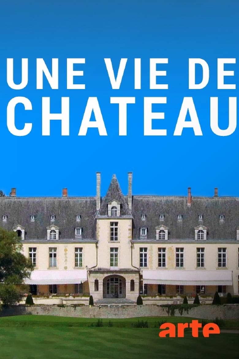 affiche du film Une vie de château