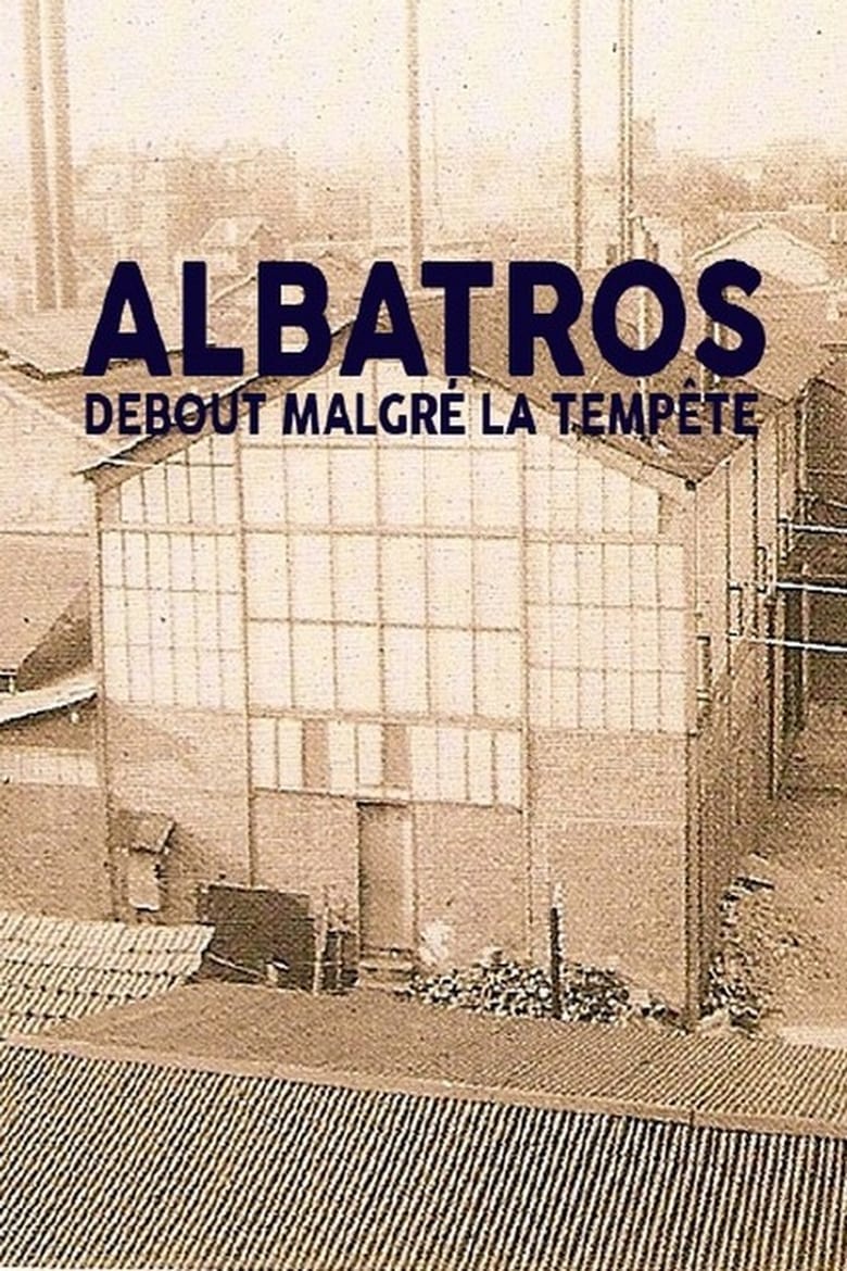 affiche du film Albatros, debout malgré la tempête