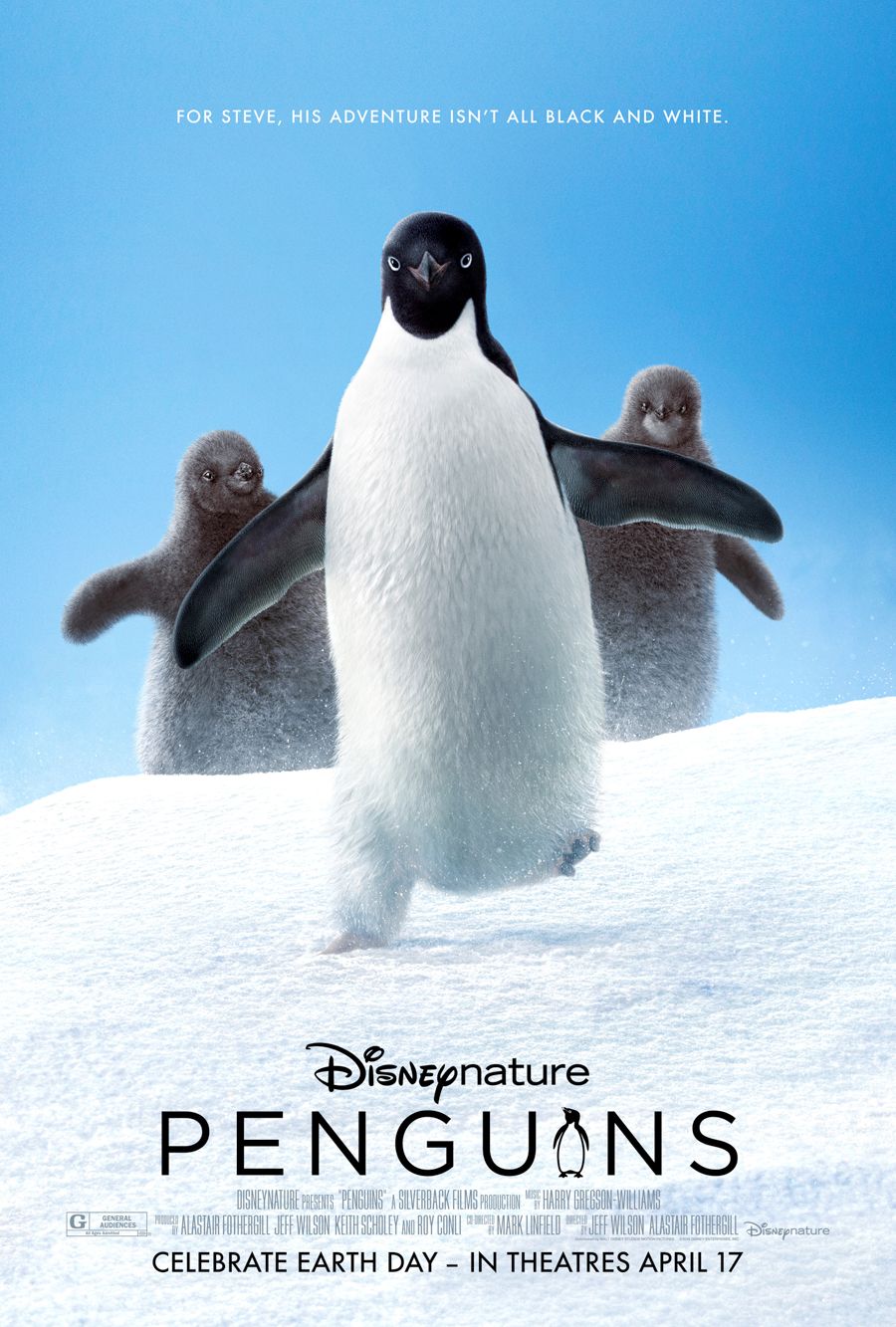 affiche du film Pingouin