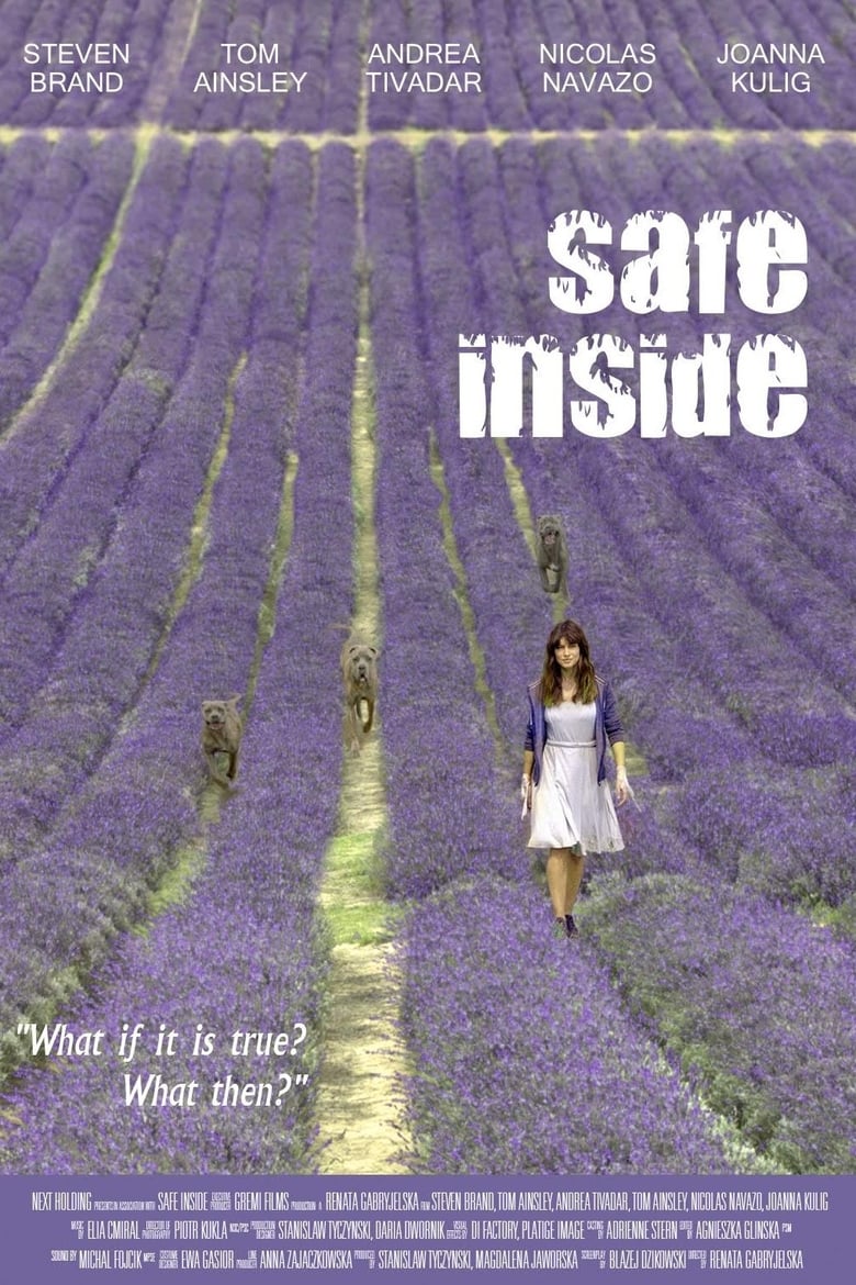 affiche du film Safe Inside