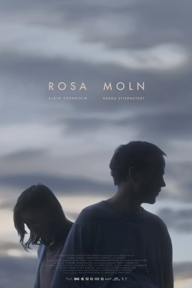 affiche du film Rosa moln