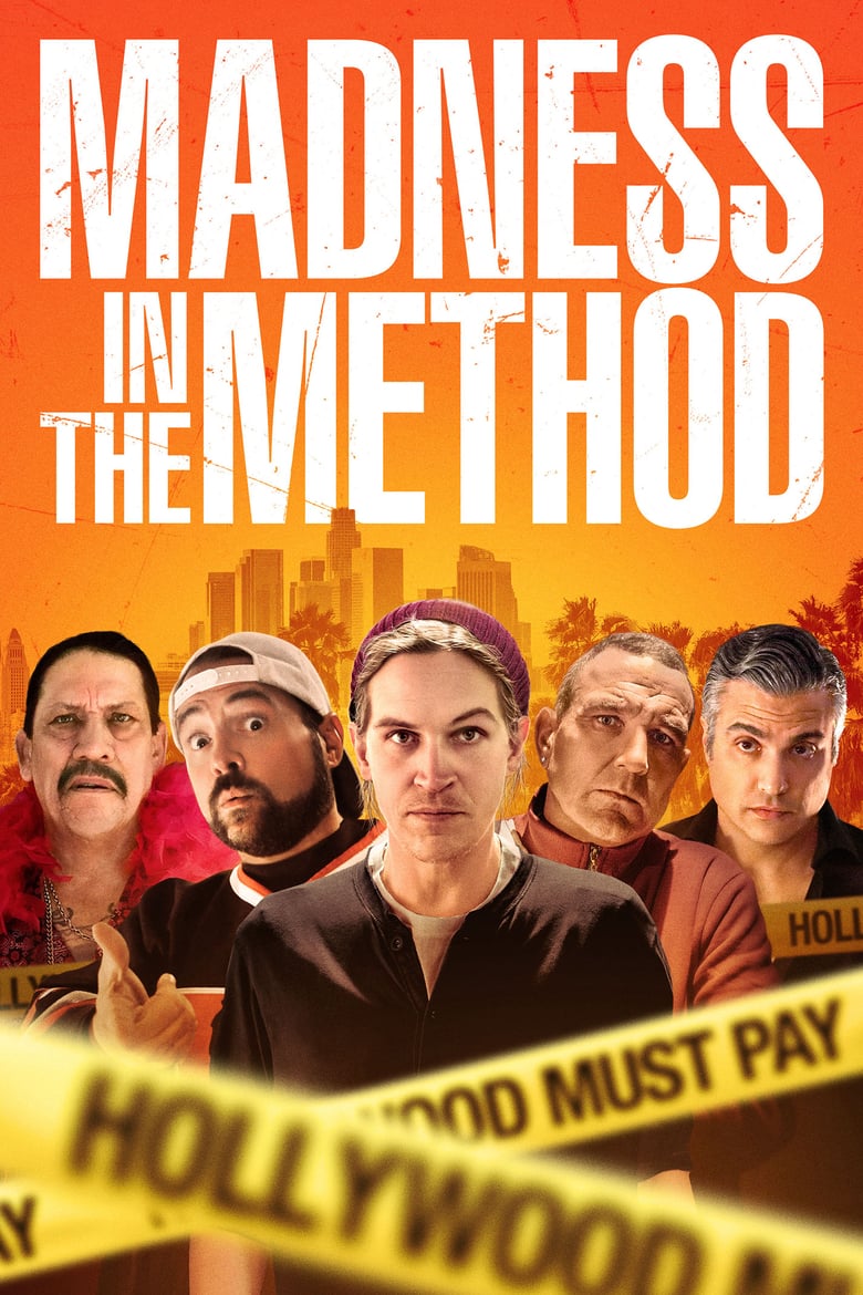affiche du film Madness in the Method