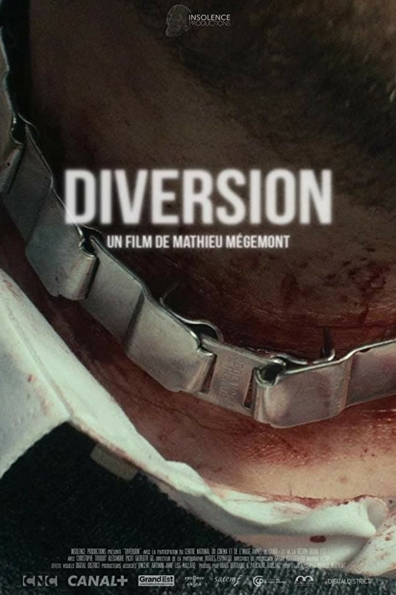 affiche du film Diversion