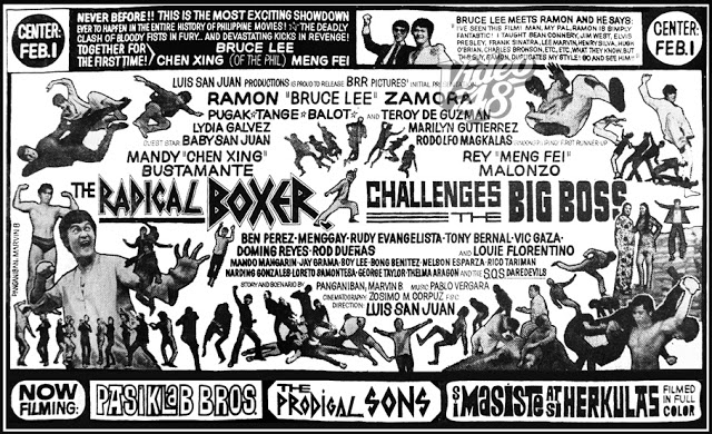 affiche du film The Radical Boxer Challenges the Big Boss