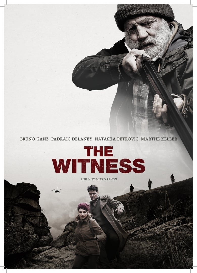 affiche du film The Witness