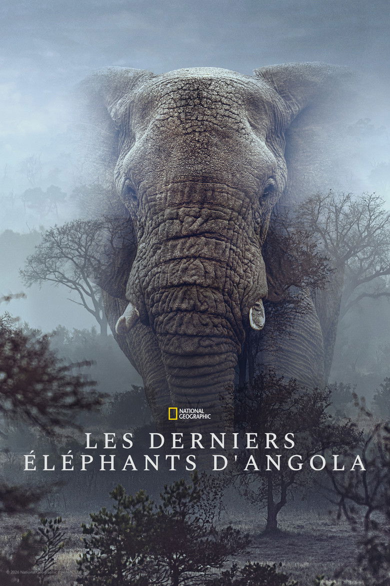 affiche du film Ghost Elephants