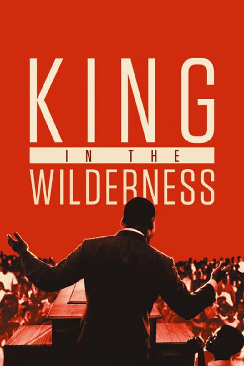 affiche du film King in the Wilderness