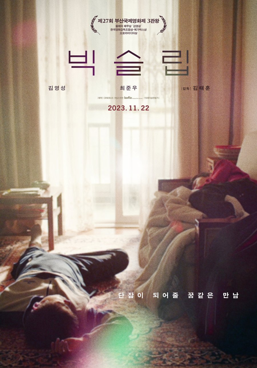 affiche du film Big Sleep