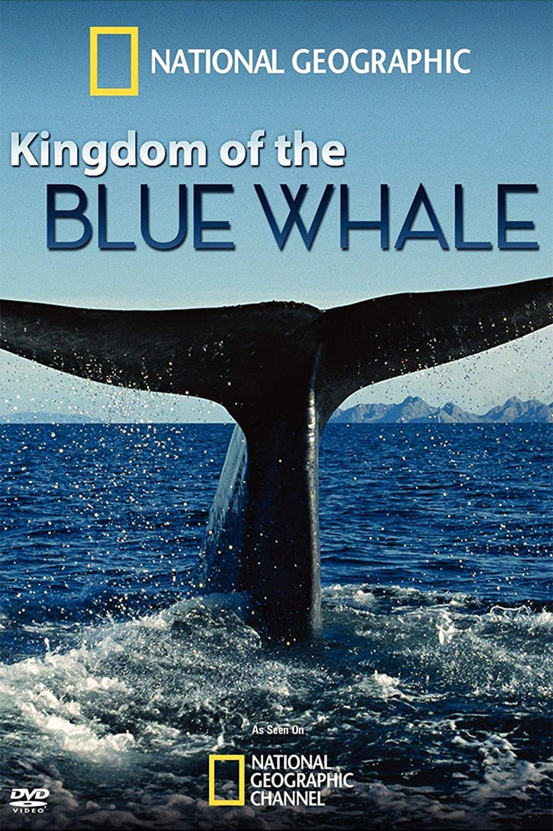 affiche du film Le royaume de la baleine bleue