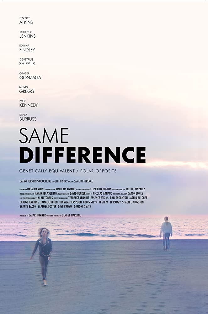 affiche du film Same Difference