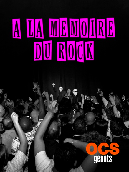 affiche du film À la mémoire du rock