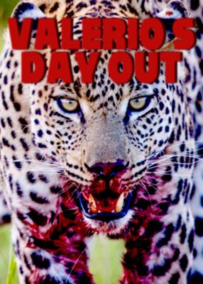 affiche du film Valerio's Day Out