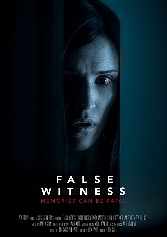 affiche du film False Witness