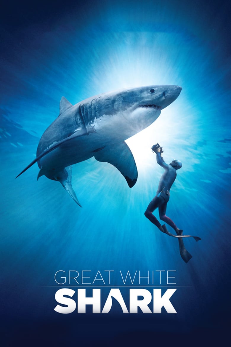 affiche du film Le Grand Requin Blanc