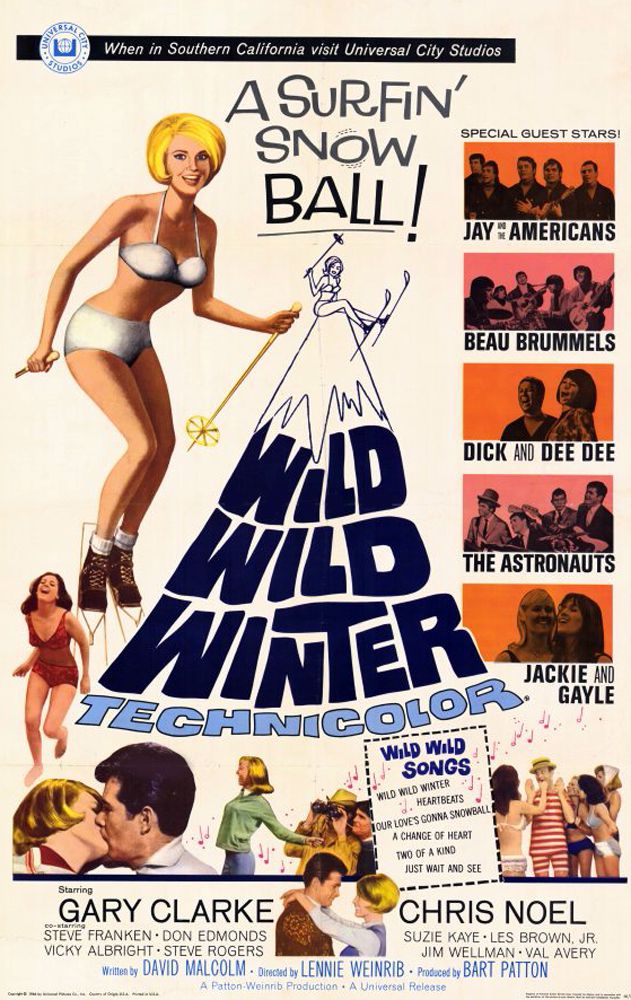 affiche du film Wild, Wild Winter