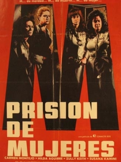 affiche du film Prisión de mujeres
