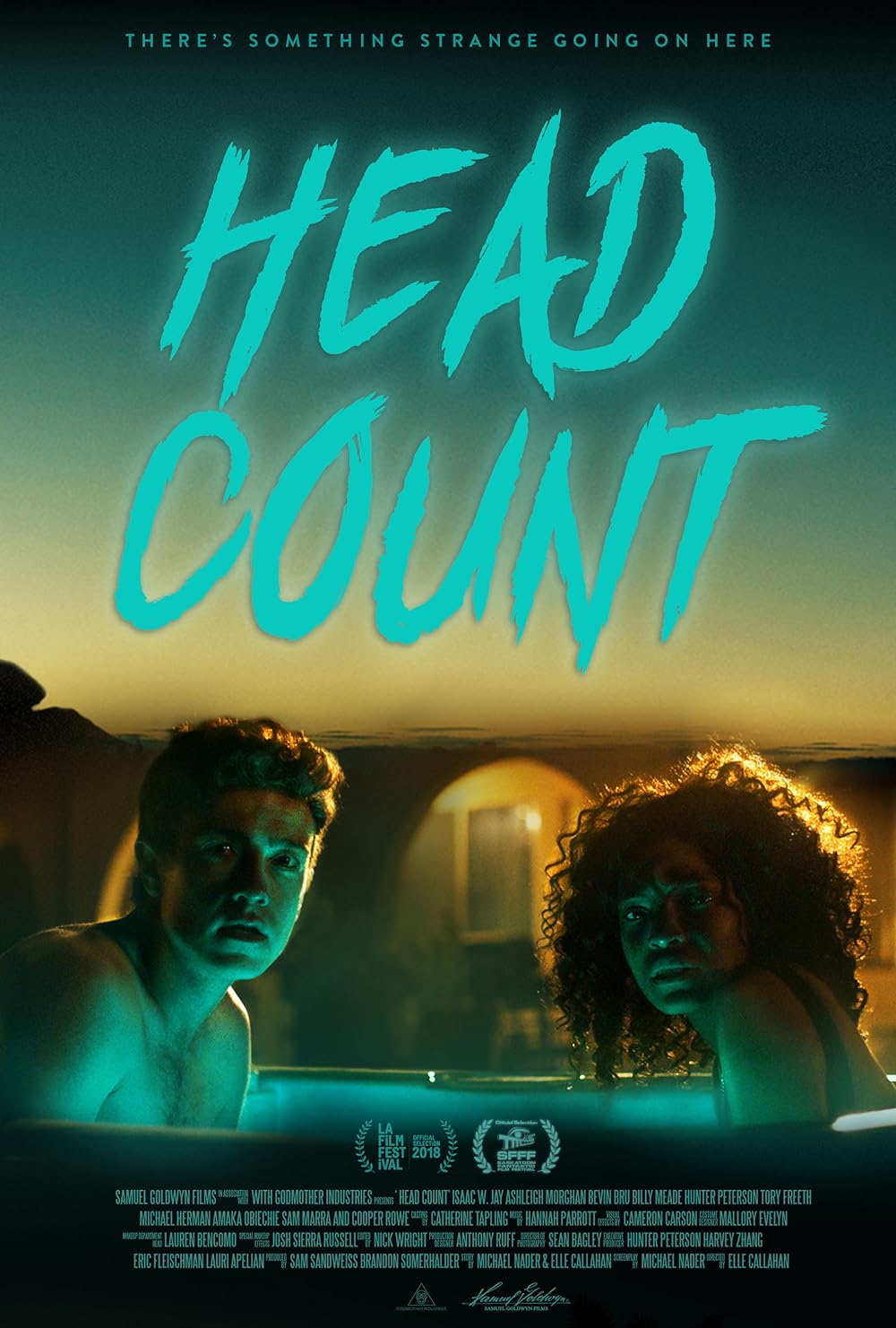 affiche du film Head Count