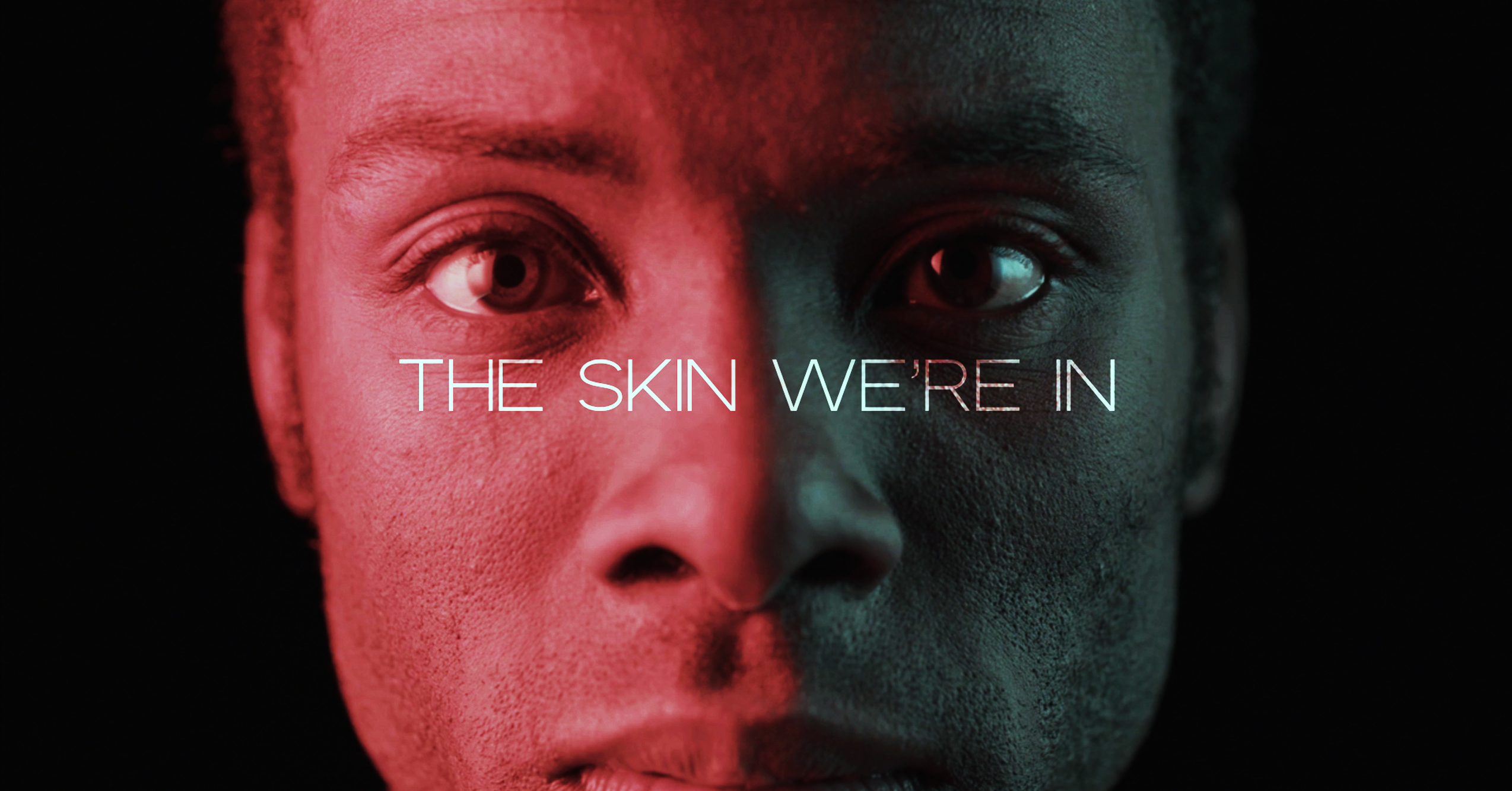 affiche du film The Skin We're In