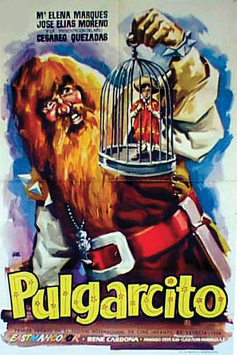 affiche du film Pulgarcito