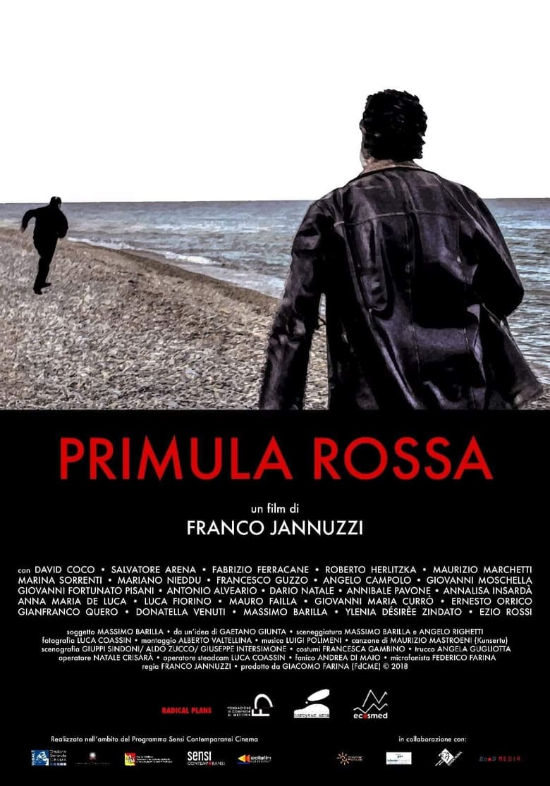 affiche du film Primula Rossa