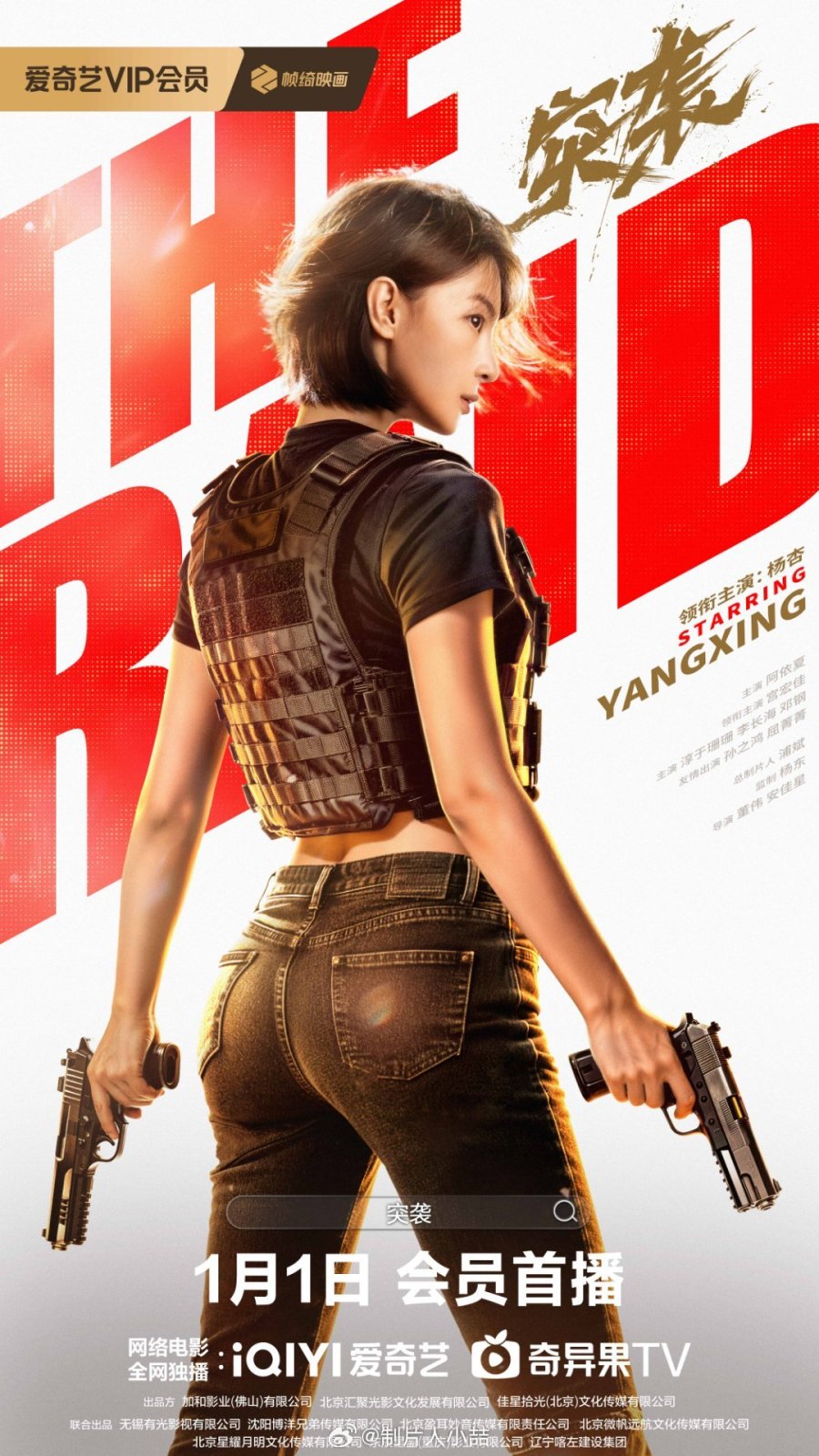 affiche du film The Raid